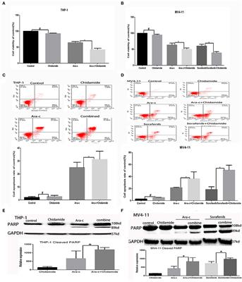 Chidamide Enhances the Cytotoxicity of Cytarabine and Sorafenib in Acute Myeloid Leukemia Cells by Modulating H3K9me3 and Autophagy Levels